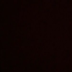 Meet your Posher, Darian